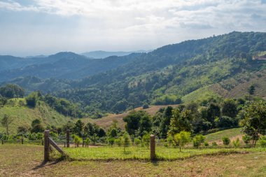 Tayland 'ın kuzeyindeki Chiang Mai eyaletindeki dağların manzarası..