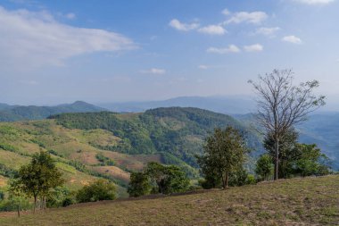 Tayland 'ın kuzeyindeki Chiang Mai eyaletindeki dağların manzarası..