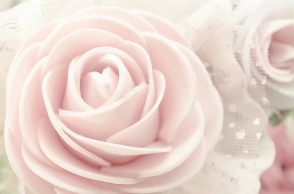Belle rose sépia rose . — Photo