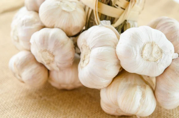 The Fresh garlic. — Stock Photo, Image