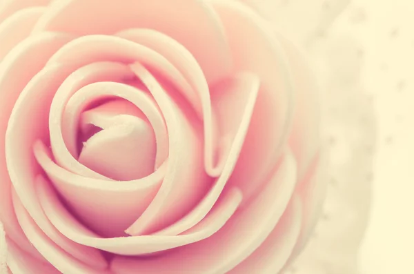 Mitte rosa Rose. — Stockfoto