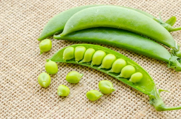 Vainas de guisantes verdes frescos . —  Fotos de Stock