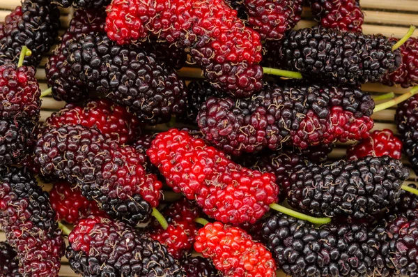 Den färska Mulberry. — Stockfoto