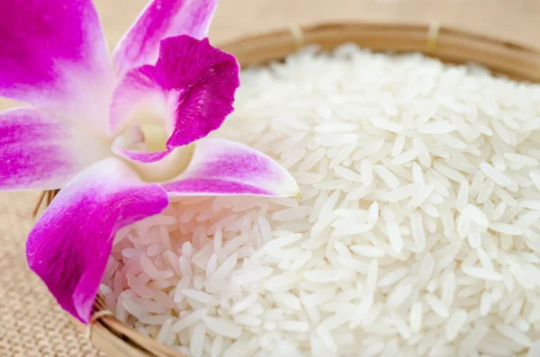 Raw rice with violet orchid flower. — Stock Photo, Image