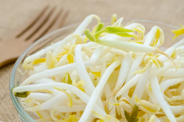 Mung bean sprouts in glass cup. — Stock Photo, Image