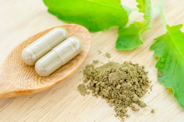 Hierbas medicinales en polvo y cápsulas con hoja de hierba orgánica verde — Foto de Stock