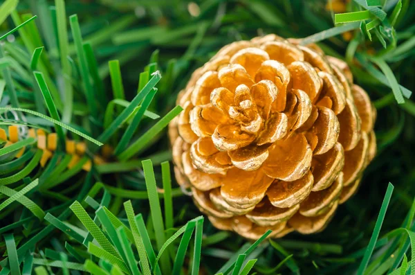 Beautiful color Christmas pine cone.