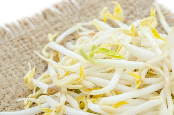 Portion of preserved Soy Sprouts. — Stock Photo, Image
