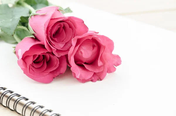 Pink roses with open diary. — Stock Photo, Image
