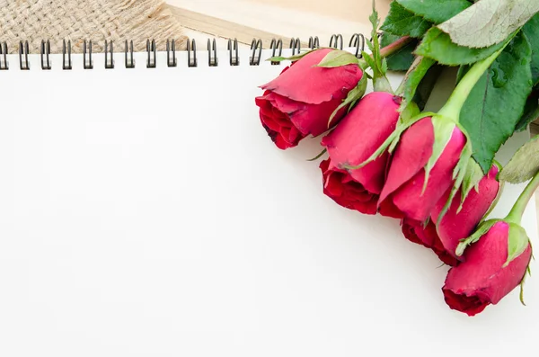 Abrir diario en blanco para su texto con rosas rojas . —  Fotos de Stock