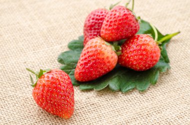 yaprakları ile çilek.