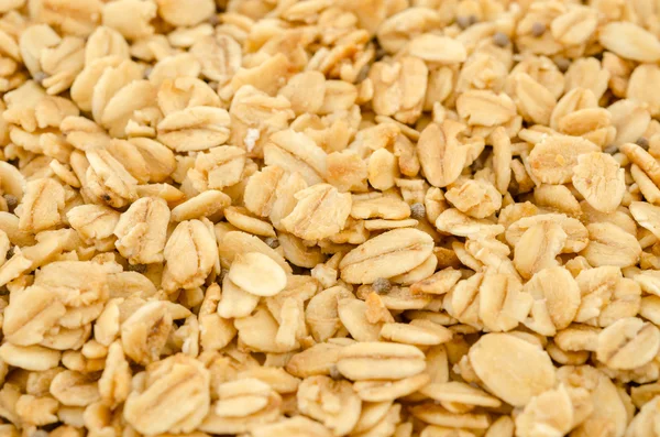 Céréales Granola Bio . — Photo