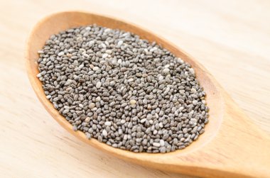 Besleyici chia tohum.