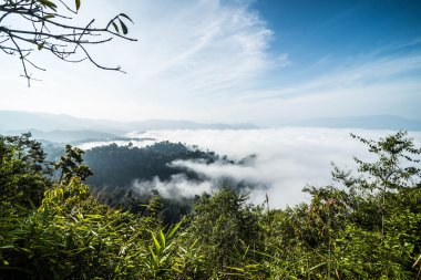 Phanoen Mulk kışın