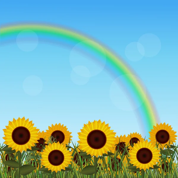 Gazon met zonnebloem en regenboog — Stockvector