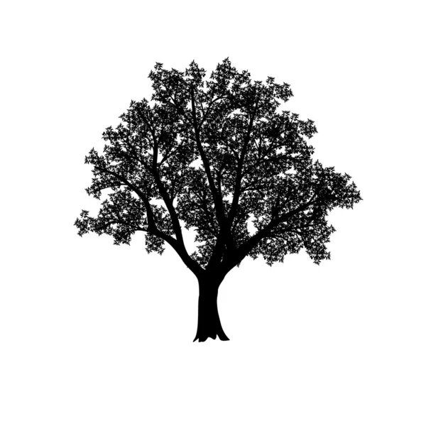 Zeytin ağacı yaprakları ile silüeti — Stok Vektör