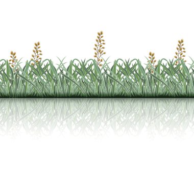 beyaz çizgileri ve yansıma çim çimen 