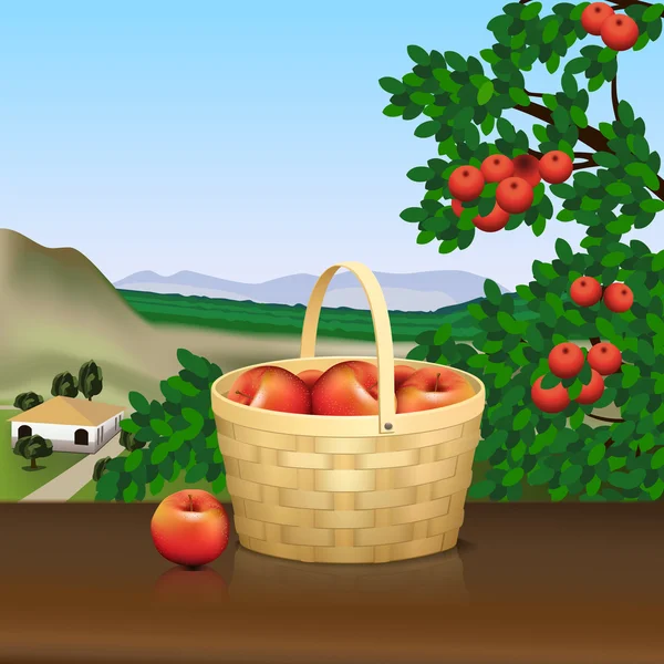 Cesto con mele rosse e riflesso — Vettoriale Stock