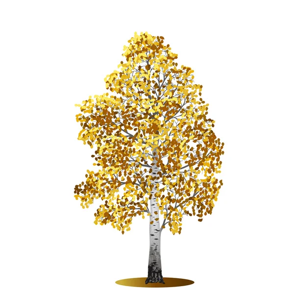 Abedul de árbol separado con hojas amarillas — Vector de stock