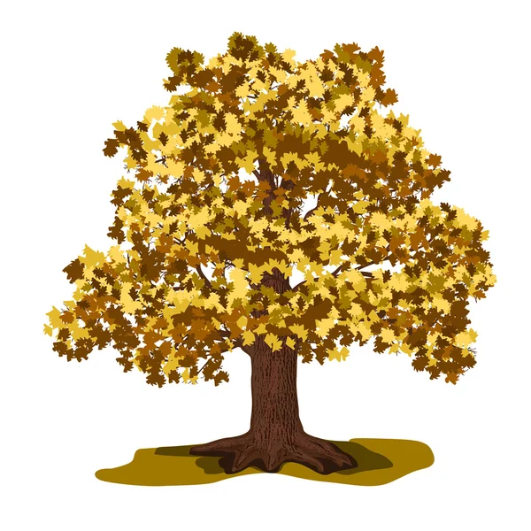 Pohon oak dengan daun kuning - Stok Vektor