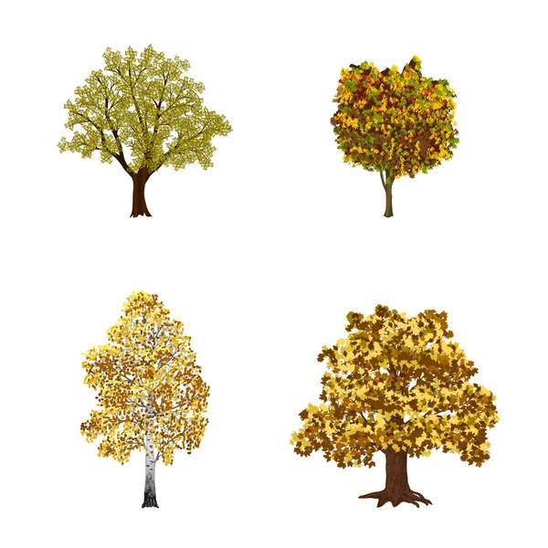 Ensemble d'arbres aux feuilles jaunes — Image vectorielle