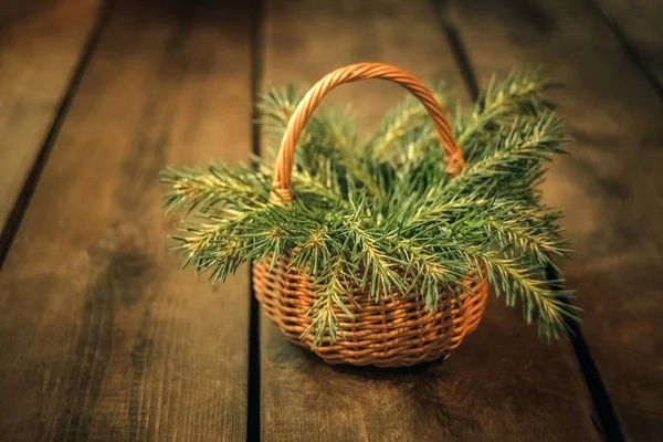 İçinde Noel ağacı dalları olan sepet