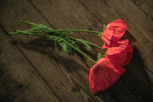 Three Poppy Flowers Lie Wooden Background — Stock Photo, Image