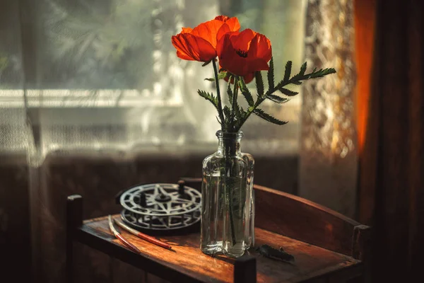 Still Life Red Poppies Vase — Stock Photo, Image