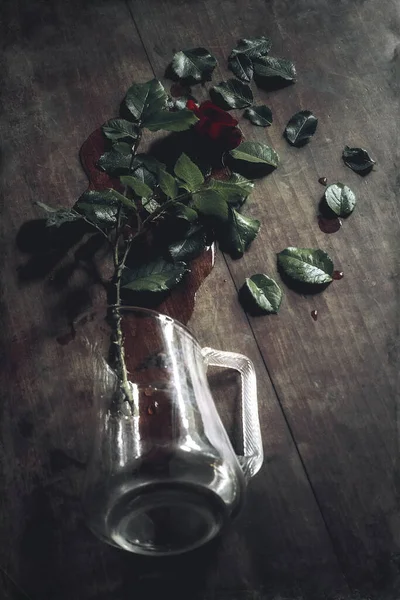 Glass Vase Fell Floor Flower Water Spilled Leaves Scattered — Stock Photo, Image