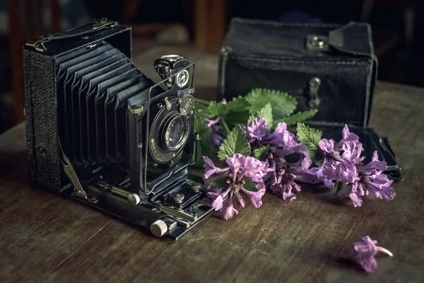 Old Camera Accordion Stands Table Flowers Lying Next Still Life — Stock Photo, Image