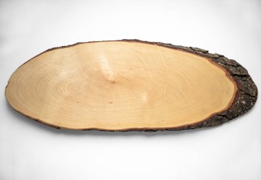 Beyaz arka planda ağaç kabuğu olan büyük bir ağaç parçası.