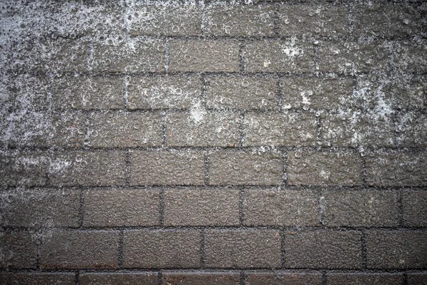 Schneeregen Mit Regen Auf Der Steinstraße Park — Stockfoto