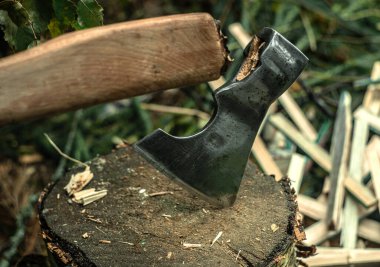 Ağaçta sapı kırık bir balta.