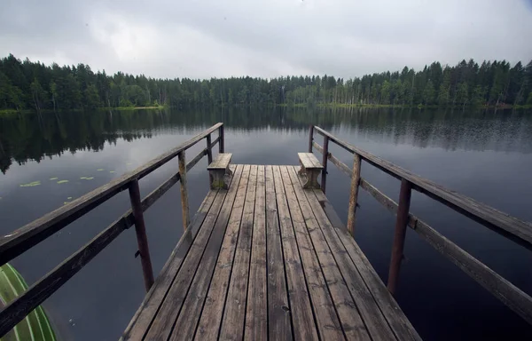 Wooden Bridge Lake Forest Green Fir Trees Cloudy Sky Tourist — Stock Photo, Image