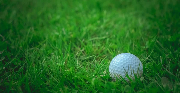 Egy Fehér Golflabda Zöld Fűben Mezőn — Stock Fotó