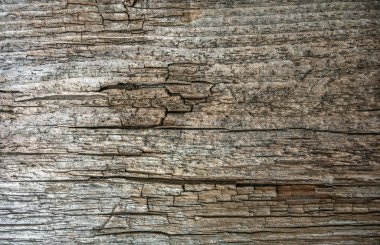 Çürümüş eski bir tahtanın dokusu çatlaklarla beyazlamış.