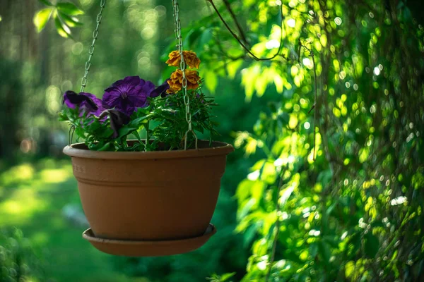 a brown plastic flower pot hanging on a chain in the garden house