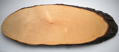 Oval şekilli ağaç, beyaz izolasyonda yüzyıllık daireler çizerek kesilmiş.