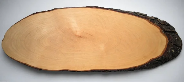 Oval-shaped tree cut with age-old circles on white isolate