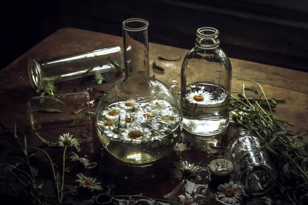 Skleněné Láhve Lékařské Baňky Bílými Heřmánkovými Květinami Zátiší Retro Stylu — Stock fotografie