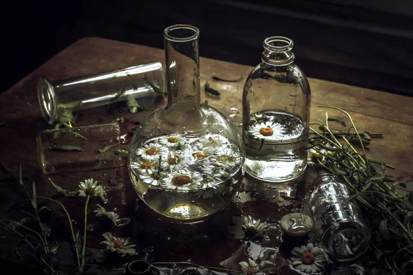 Glass Bottles Medical Flasks White Chamomile Flowers Still Life Retro — Stock Photo, Image