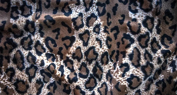 Texture Color Leopardo Con Cerchi Neri Tessuto Interno — Foto Stock