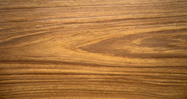 木料用于制造家具的浅色木料形式的木料的质感 — 图库照片