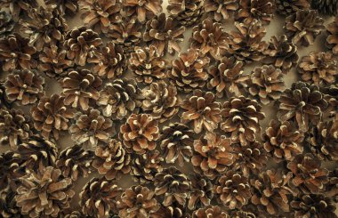 Kartondaki kahverengi kozalak dokusunun fotoğrafı.