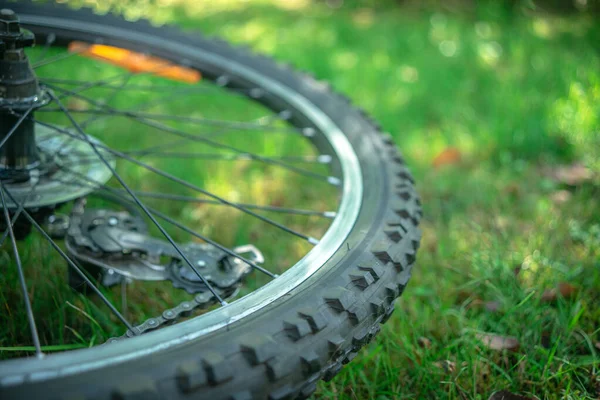 Metal Telli Lastik Bir Bisiklet Tekerleği Bokeh Bulanık Yeşil Bir — Stok fotoğraf