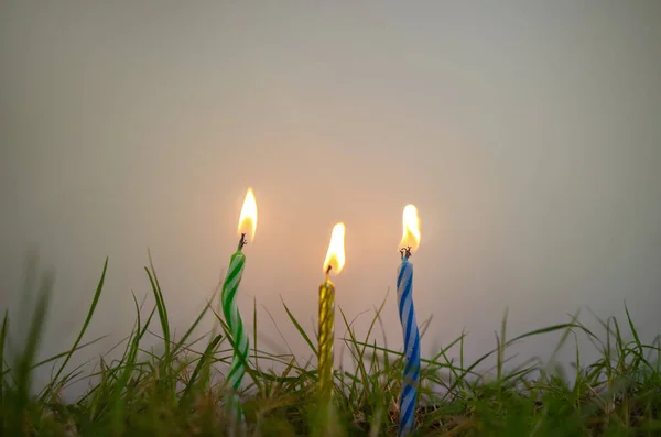 Three festive lighted candles in the green grass on a white background. Place for a greeting text