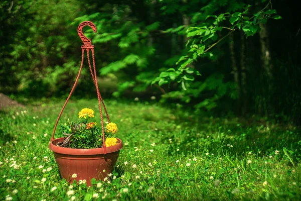 Plastic Planters Brown Color Yellow Flowers Decorations Country House Your — Stock Photo, Image