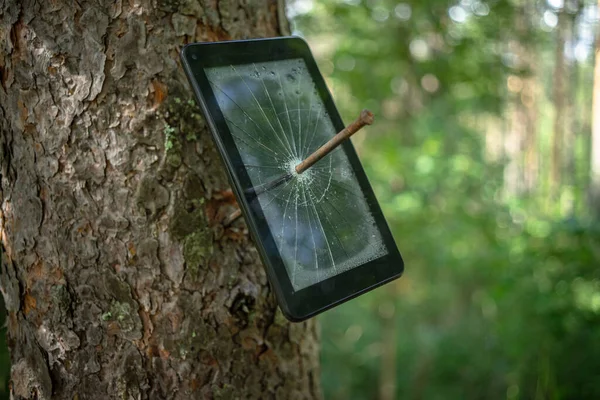 Tablet Eletrônico Preto Pregado Com Prego Metal Uma Árvore Floresta — Fotografia de Stock