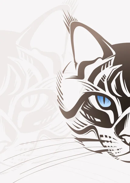 Kedi yüz. Vektör çizim