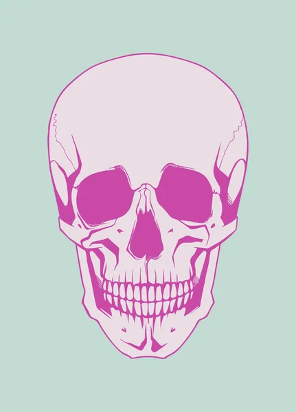 Vector Calavera obras de arte — Vector de stock